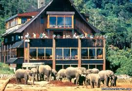 The Aberdare's Fishing Lodge 