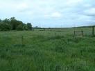 Sims Hill - Still farmland - via Daymix