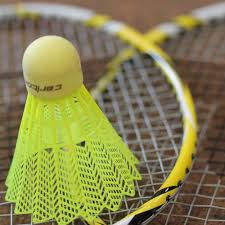 Image result for Rugeley Badminton Club
