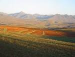 File:African landscape.jpg - Wikimedia Commons