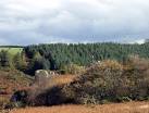 of Owain Glyndwr's birth - via Daymix