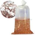Feeder Shrimp for Aquariums: Live Adult Brine Shrimp