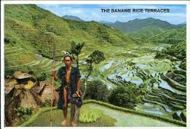 Banawe Rice Terraces