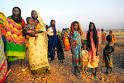 UCLA International Institute :: 6 Who've Cared About Darfur's Victims