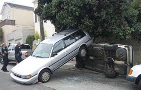 images?q=tbn:ANd9GcQBZz7JxJG2awjiSgGUpvH-gRaBKY6GSEIkr5g8UeZe2C3x5Eht