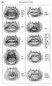 Elocution Lesson | no