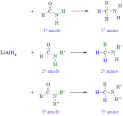 Reactions of Amides
