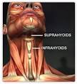 The ARM Blog (www.choosearm.com): Abdominal Secrets: 'Watch Your ...