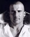 Picture of Dominic Purcell - 600full-dominic-purcell