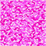 http://www.powersportswraps.com/pwrblog/wp-content/uploads/2008/06/camo-pink-urban-micro.jpg