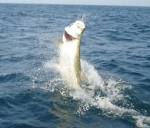 Boca Grande tarpon fishing charters, tarpon fishing guides Florida