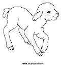 Lamb coloring page