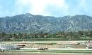 Santa Anita race track (