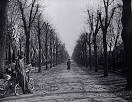 Wrong Geometries in The Third Man