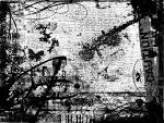 http://www.deviantart.com/download/1263645/first_grunge_-_trialanderror.jpg