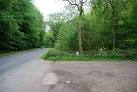 Bird Feeding Car Park, - via Daymix