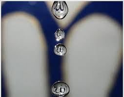 http://t1.gstatic.com/images?q=tbn:ANd9GcQCQO1tllerqe4HwoGEby0rG4b6JWEphzrVVE2_w-wC-bMD51a2