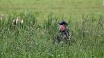 New York prison break: Focus of manhunt shifts again - CNN.com