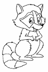 Raccoon coloring page