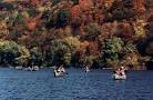 Chamberlain Canoes - Come have fun on the Delaware River in ...