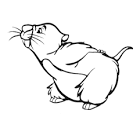 Gopher coloring page