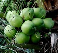 INDORMASI-USAHA.COM