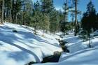 Winter scenic in Arizona public domain image picture in gallery Winter is in - via Daymix