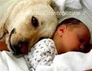 Cani, Gatti e Bambini. » Cilento Notizie › Cilento › Ambiente. Commenti - bambino-dorme-con-cane-art-abbate_01