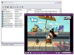VideoCacheView 2.21