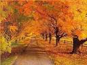 Autumn Equinox - Mabon - September 23