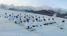 army--siachen.jpg