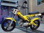 2010 Sachs MadAss 125 Review - Motorcycle USA