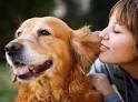 A pet psychic can help to bridge the gap of communication between you and ... - Pet-Psychics