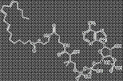 <b>8</b>,<b>11</b>,<b>14</b>-EICOSATRIENOYL COA, [<b>EICOSATRIENOIC ACID</b>-1-14C]-