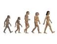 Evolution