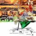 Indian History, The Great History of India