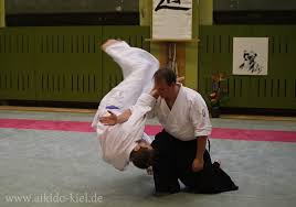 Aikido-Landeslehrgang mit Markus Hansen in Berlin - Aikido Kiel ...