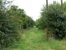 a 5.7 hectare woodland planted in 1997 as part of the National Forest. - via Daymix