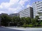 九州工業大学情報工学部 - 都市の景観