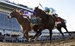 2015 PREAKNESS Palooza | United Way of Lower Eastern Shore