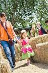 Wild Adventures Discussion Thread   Page 4   Theme Park Review