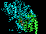 <b>Protein</b> Alignment versus
