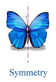 Image result for seeing symmetry