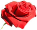 Idee cadeau original: Trouver un cadeau st valentin