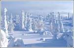Lapland: an overview | Other recreational