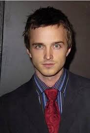 Aaron Paul short hairstyle. Aaron Paul, born Aaron Paul Sturdevant, is an American actor who currently plays the role of Jesse Pinkman in the series ... - aaron_paul_shorthairstyle