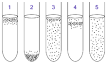 Facultative anaerobic organism - Wikipedia, the free encyclopedia
