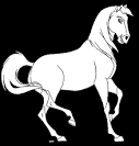 Stallion coloring page