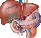 Acute liver failure | Liver Diseases | ePharmapedia