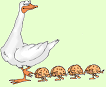 Philosophy of Cognitive Ethology: Entry